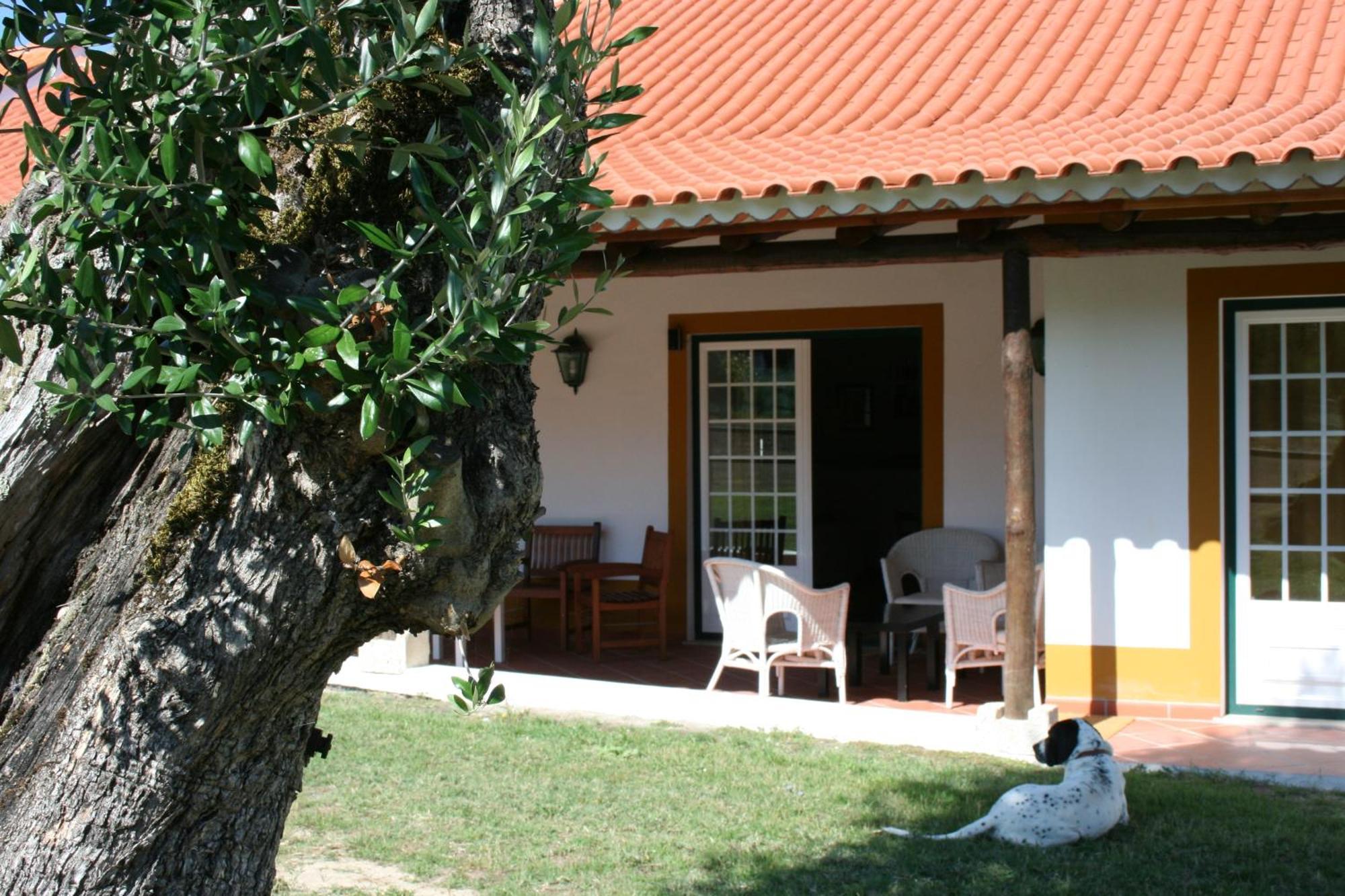 Quinta Da Alcaidaria Mor Villa Ourem Exterior photo